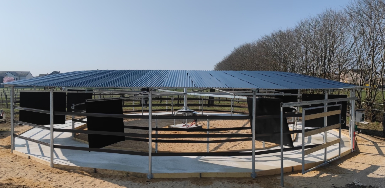 marcheur chevaux occasion belgique